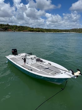 Boat photo for Tarpons In Recife, Brazil