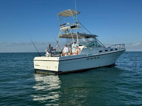 Boat photo for Big Shark Hunt Offshore