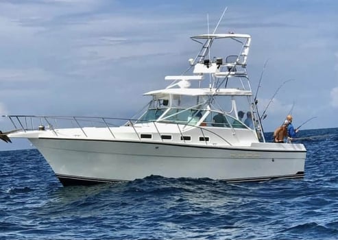 Boat photo for Big Shark Hunt Offshore