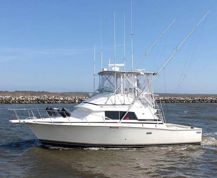 Boat photo for Intermediate 6 Hour - 33' Bertram