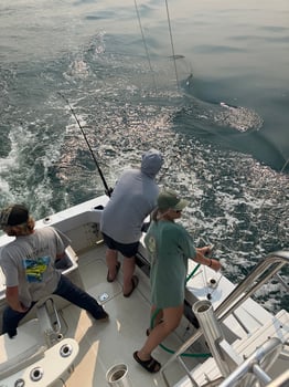 Boat photo for Intermediate 6 Hour - 33' Bertram