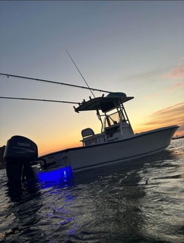 Boat photo for 🎣 Red Snapper & Mingo Special