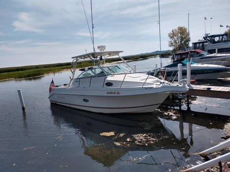 Boat photo for Half-day Walleye Fishing