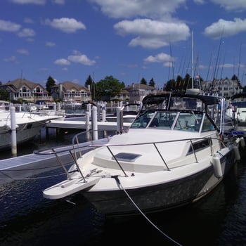Boat photo for Fishing On Lake Michigan!
