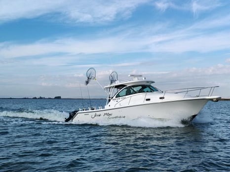 Boat photo for Sturgeon / Striped Bass Trip