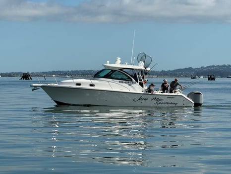 Boat photo for Halibut/Striped Bass