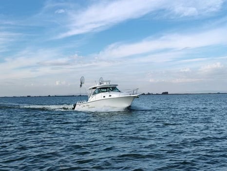 Boat photo for Halibut/Striped Bass