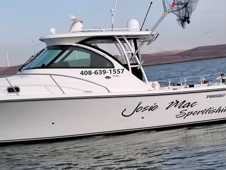 Boat photo for Halibut/Striped Bass