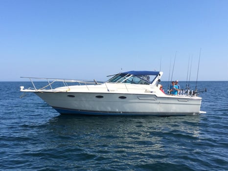 Boat photo for Salmon & Trout Fishing 