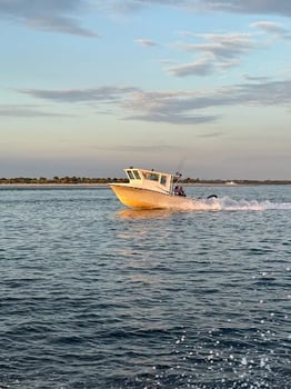Boat photo for Exciting Offshore Experience