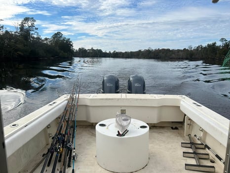 Boat photo for Snapper Trip
