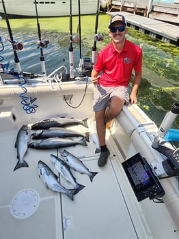 Boat photo for Lake Ontario Trolling Trips