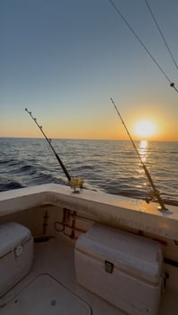 Boat photo for Offshore Adventure 