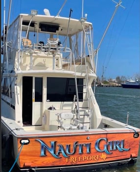 Boat photo for Offshore Adventure 
