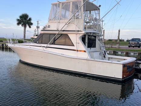 Boat photo for Offshore Adventure 