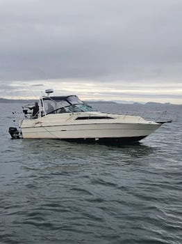 Boat photo for Ucluelet Salmon, Halibut & Lingcod