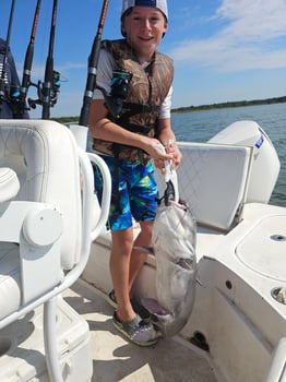 Boat photo for Top-Water Action Striper 2-4ppl 6am