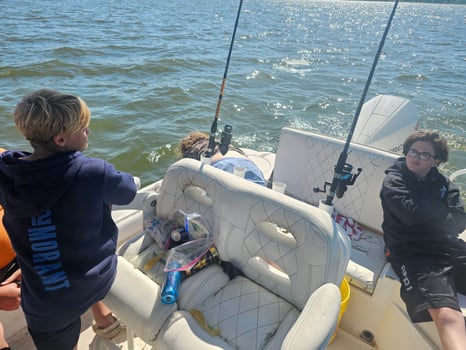 Boat photo for Top-Water Action Striper 2-4ppl 6am