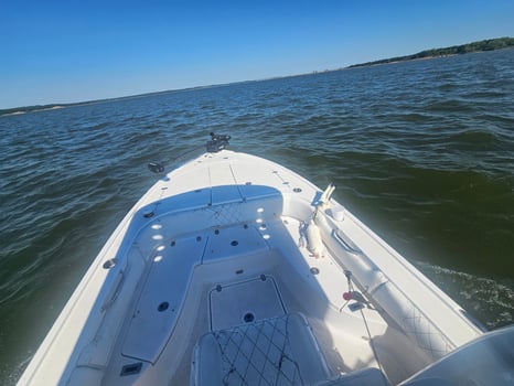 Boat photo for Top-Water Action Striper 2-4ppl 6am