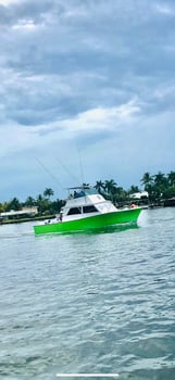 Boat photo for Family Fun Deep Sea Fishing