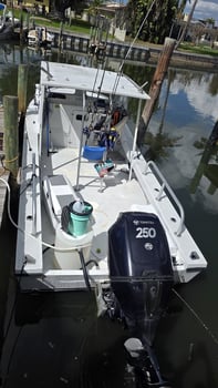 Boat photo for Captain's Choice Fishing Adventure