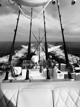 Boat photo for Walk On Trips