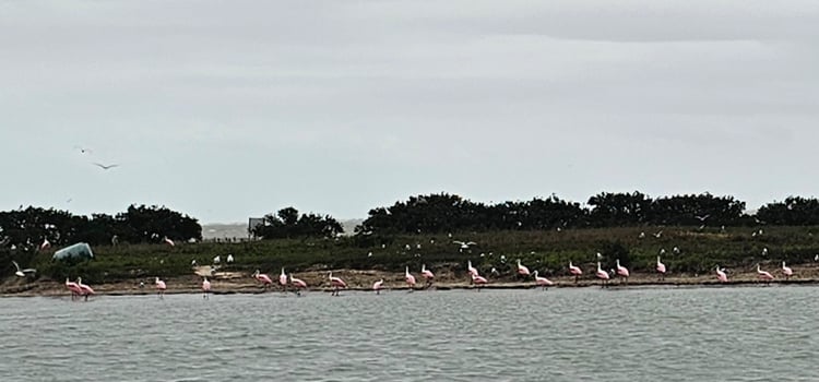 Boat photo for Private Rocket Launch Trip Up Close