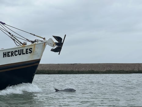 Boat photo for Private Rocket Launch Trip Up Close