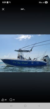 Boat photo for 4 Hr Reef/wreck