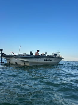 Boat photo for Day Trip – Striper Fish Fun