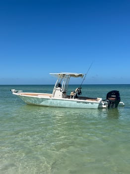Boat photo for Snook And Trout And Redfish Oh My!