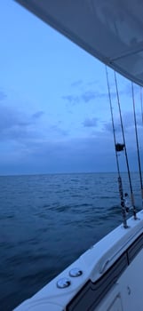 Boat photo for Cobia Sight Fishing 