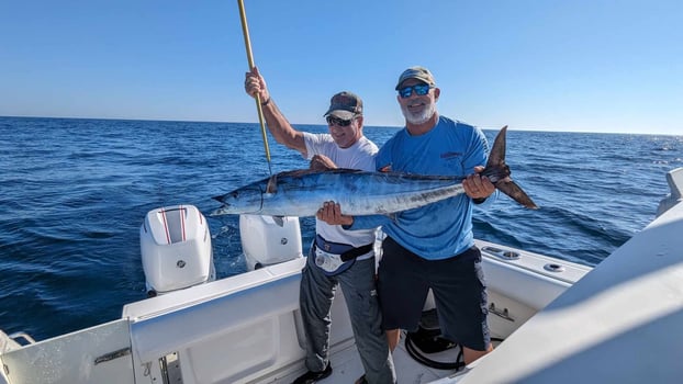 Boat photo for Cobia Sight Fishing 