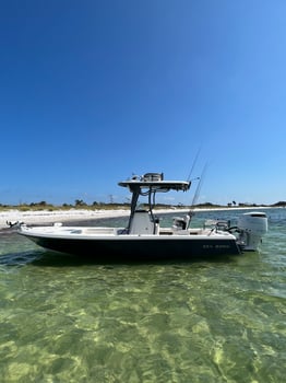 Boat photo for Kids Fishing - 25’ Sea Born