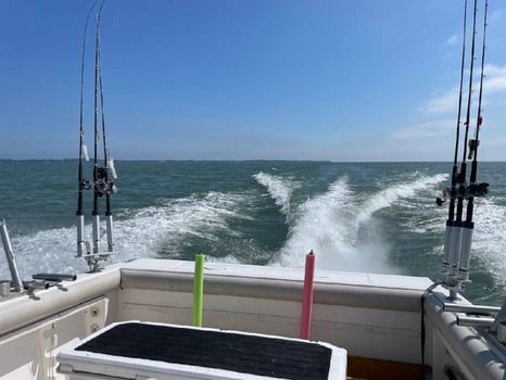 Boat photo for Lake Erie Walleye & Perch