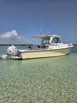 Boat photo for Offshore Half Day