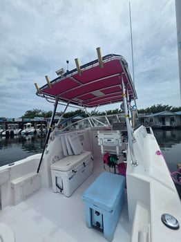 Boat photo for 4 Hour AM Inshore Fishing Trip