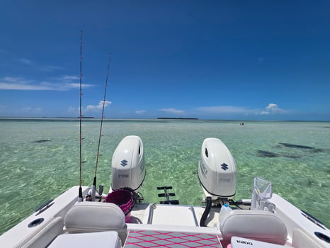 Boat photo for 4 Hour AM Inshore Fishing Trip