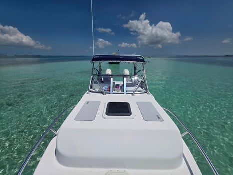 Boat photo for 4 Hour AM Inshore Fishing Trip