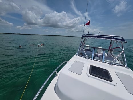 Boat photo for 4 Hour AM Inshore Fishing Trip