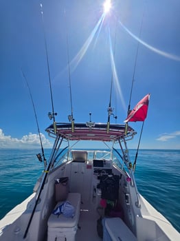 Boat photo for 4 Hour AM Inshore Fishing Trip