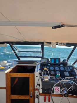 Boat photo for Lake Erie Walleye Fishing