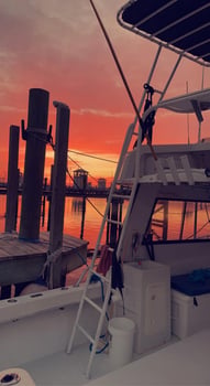 Boat photo for Gulfport Inshore & Nearshore
