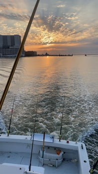 Boat photo for Gulfport Inshore & Nearshore