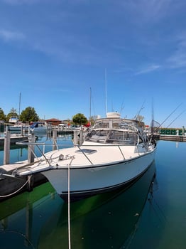 Boat photo for Lake Huron Fishing