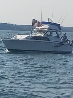Boat photo for Trout & Salmon Trolling