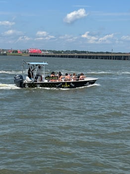 Boat photo for Assateague Island Wild Pony Tour