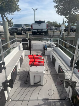 Boat photo for Assateague Island Wild Pony Tour