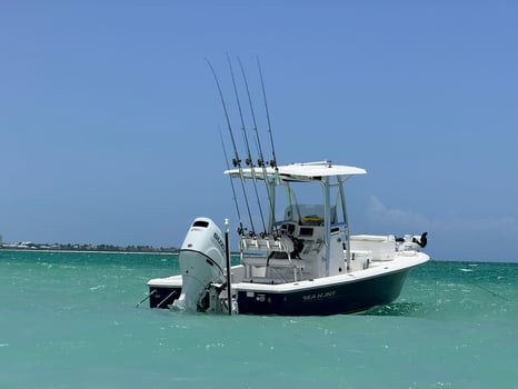 Boat photo for Inshore Fishing 