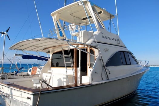 Boat photo for Deep Sea Punta Cana - 42’ Sportfish
